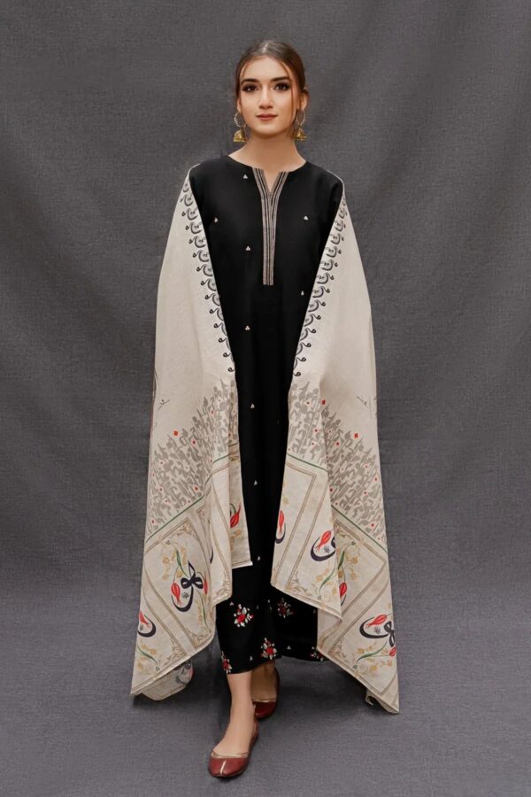 URGE — 3pc on Dhanak with Printed wool  shawl - Image 2