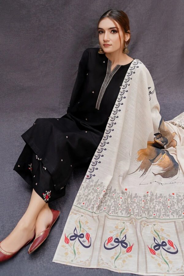 URGE — 3pc on Dhanak with Printed wool  shawl - Image 4