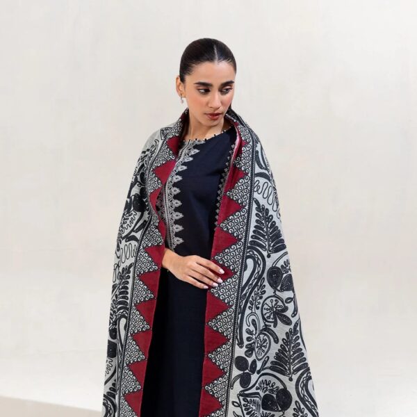 Beachtree — 3pc on Dhanak with Pashmina wool shawl - Image 2