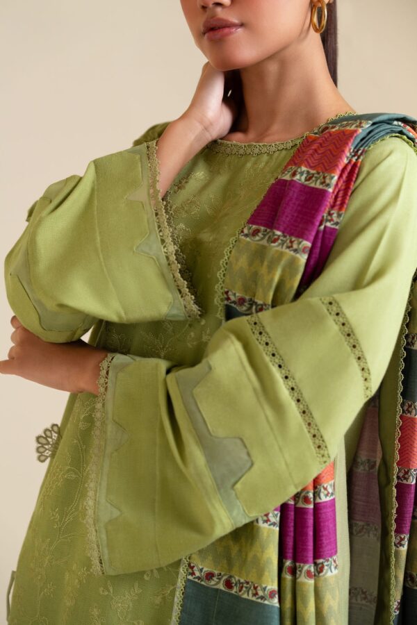 Zarashahjahan — 3pc on Dhanak with printed Pashmina wool shawl - Image 3