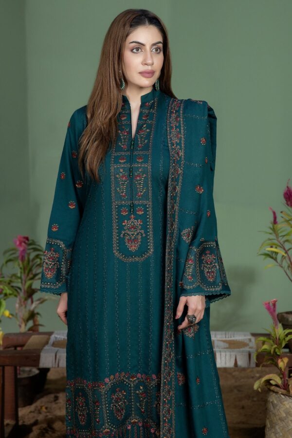 Noor e fajar — 3pc on Dhanak Emb with Dhanak emb shawl - Image 3