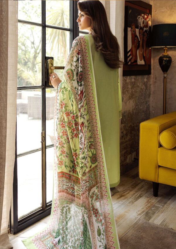 Mushq — 3pc Dhanak with Pashmina wool  shawl - Image 3