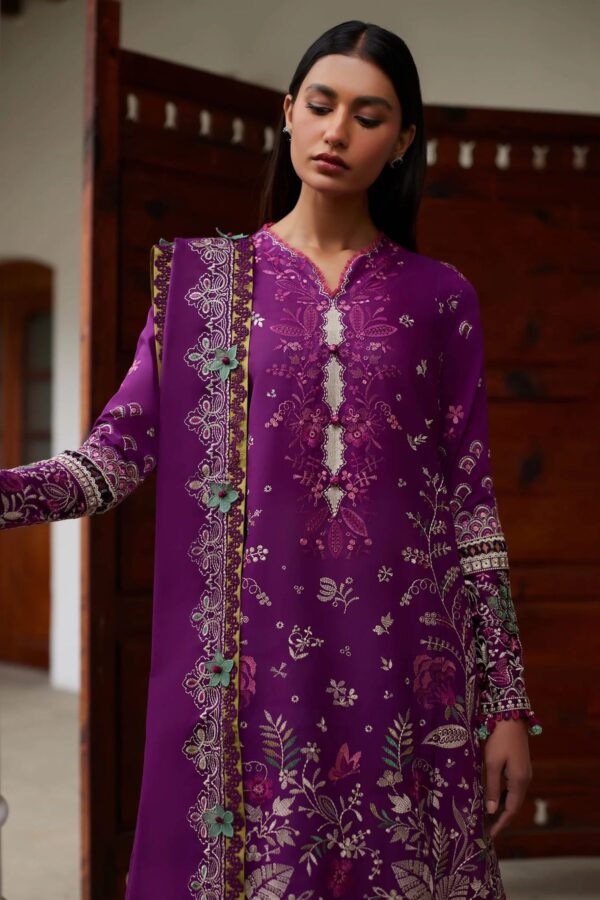 Elan — 3pc on Dhanak with Emb Dhanak  emb shawl - Image 4