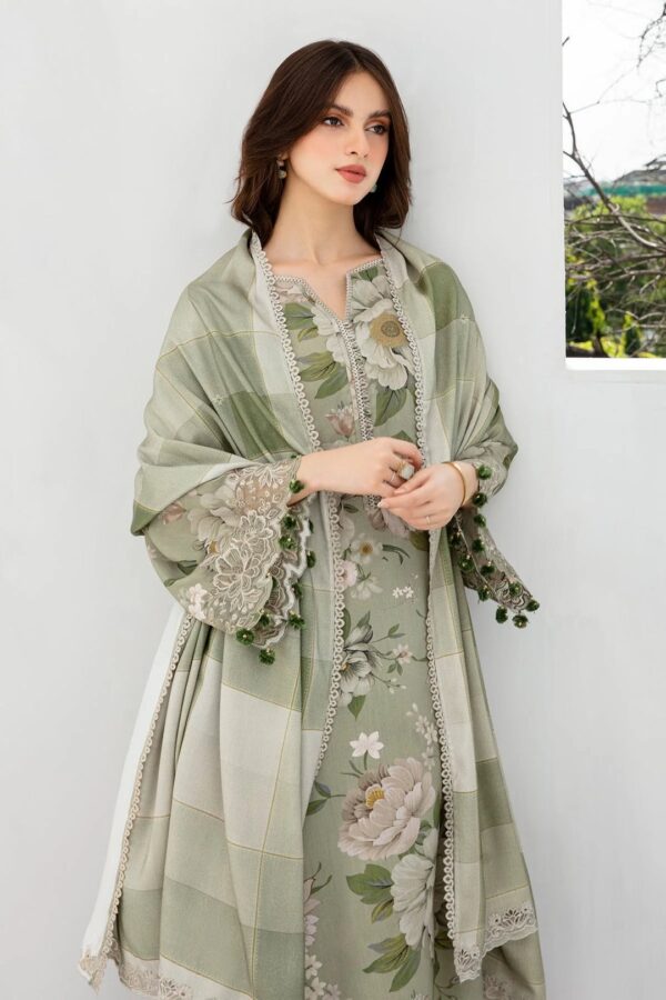 Baroque — 3pc on Fine Quality soft Digital Printed Karandi with Soft Karandi Shawl - Image 5