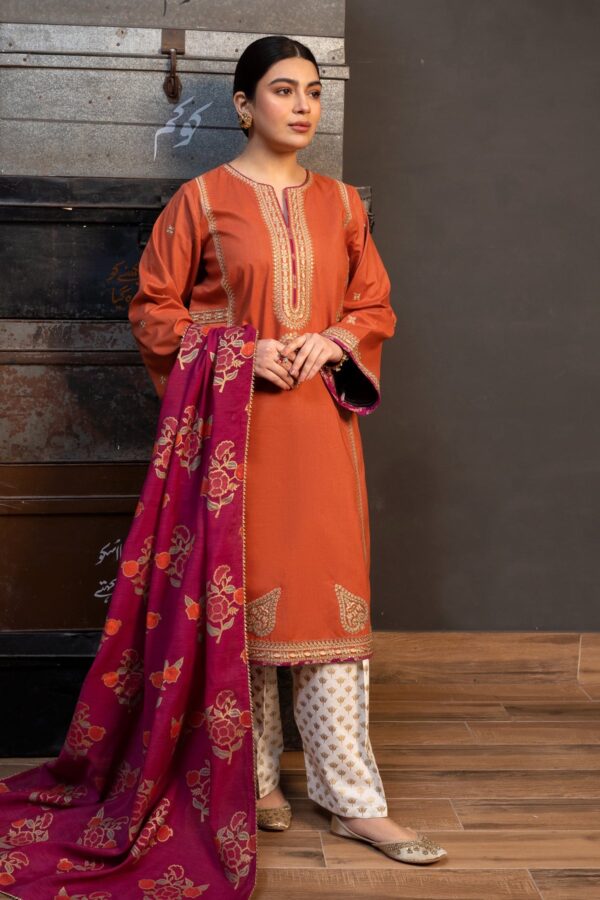 Zarashahjahan — 3pc on Dhanak with printed Pashmina wool shawl