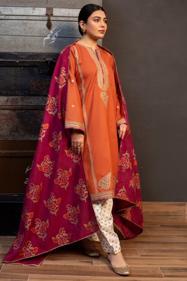 Zarashahjahan — 3pc on Dhanak with printed Pashmina wool shawl - Image 3