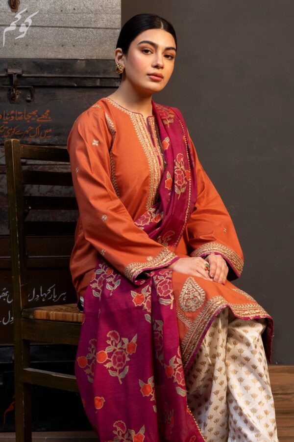 Zarashahjahan — 3pc on Dhanak with printed Pashmina wool shawl - Image 2