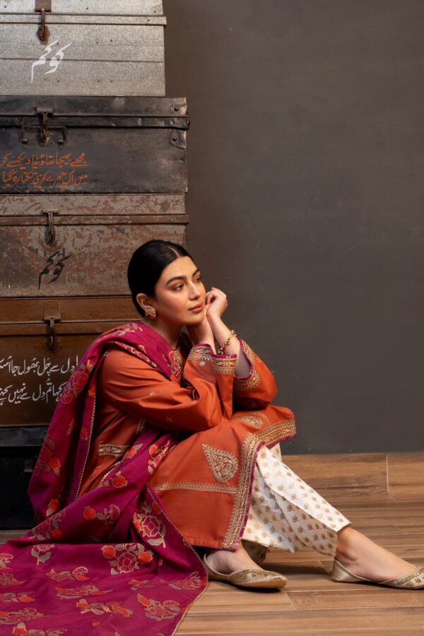 Zarashahjahan — 3pc on Dhanak with printed Pashmina wool shawl - Image 4